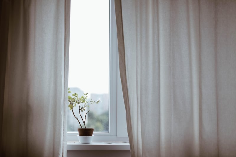Indoor vs. outdoor plants